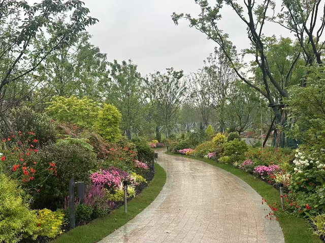 上海公園戶外花鏡價格 上海六畝地景觀綠化工程供應