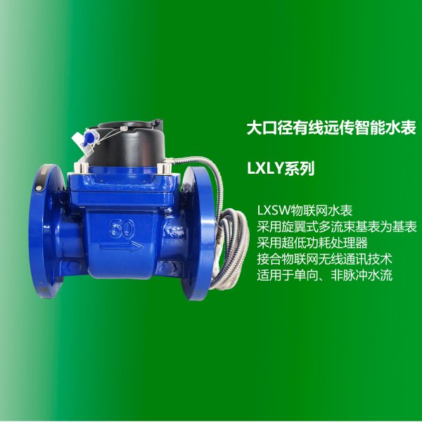 大口徑有線遠傳智能水表 LXLY系列