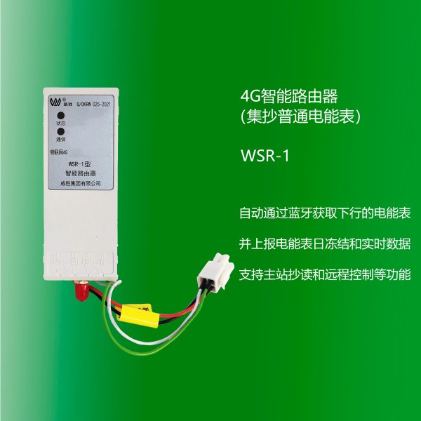 4G智能路由器（集抄普通電能表） WSR-1 