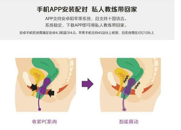 力感應(yīng)縮陰球