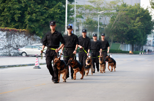 驻场安全保卫公司 来电咨询 深圳市恒博保安服务供应