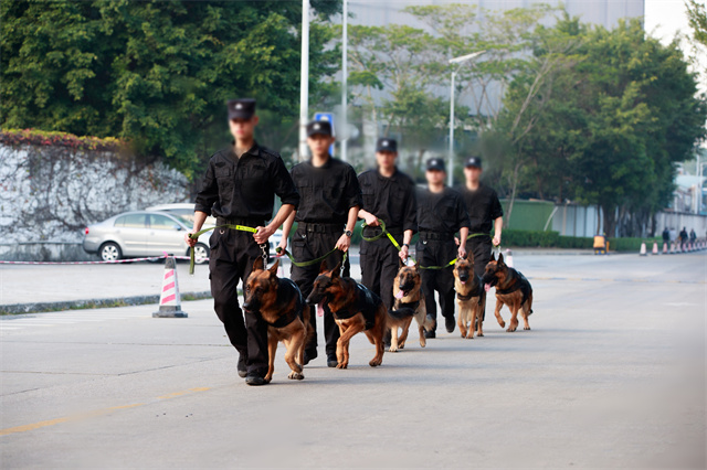 韶关风险评估专业服务 真诚推荐 深圳市恒博保安服务供应