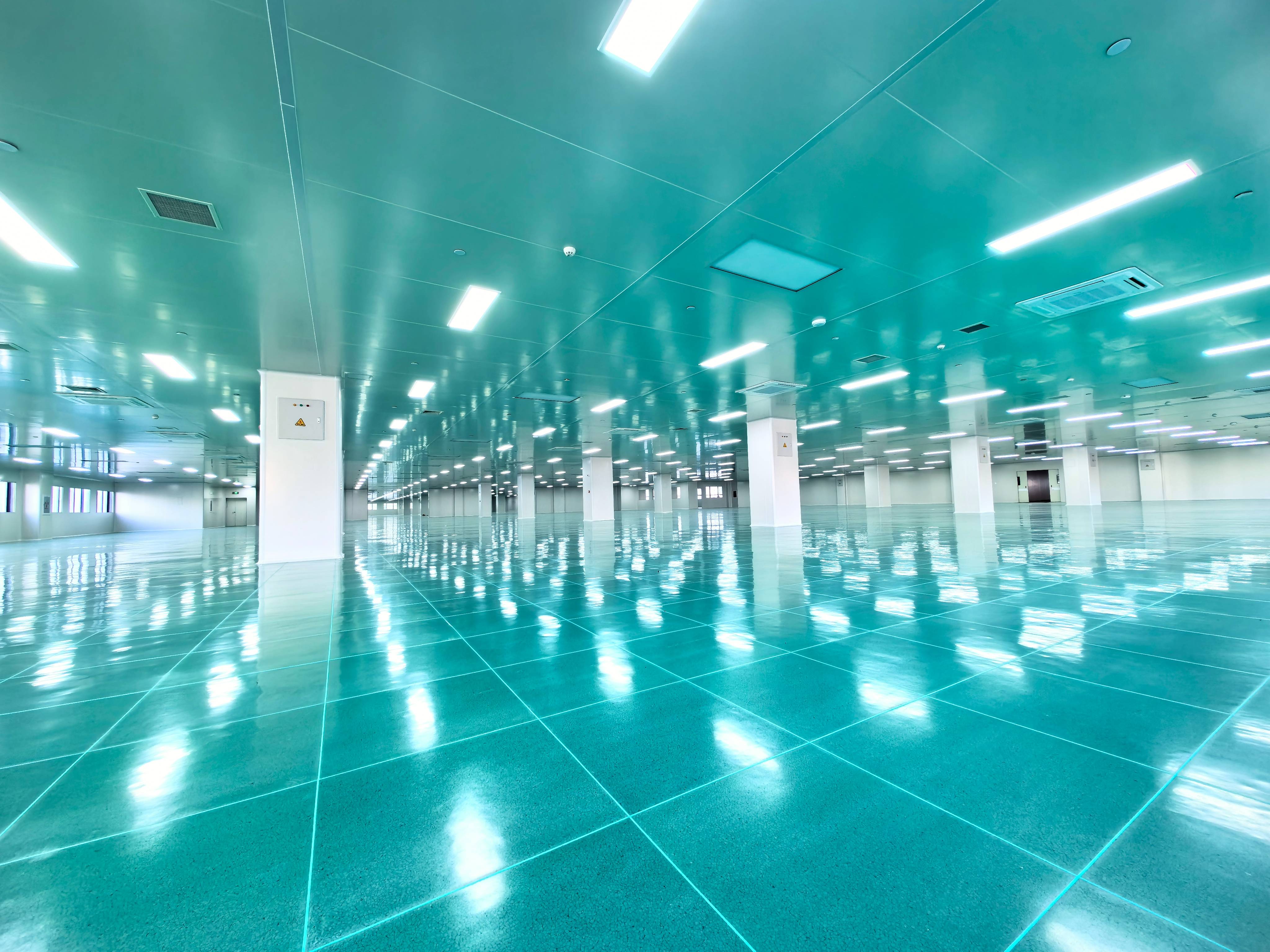 成人一区二区视频免费：打造洁净世界的行业先锋