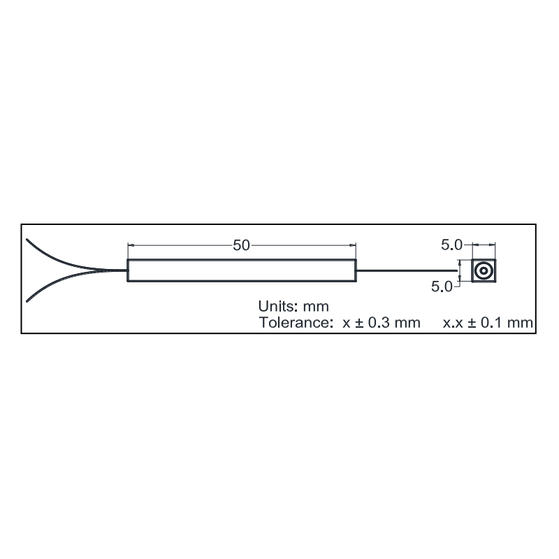 (1+1)×1多模900~1000nm泵浦&信號合束器