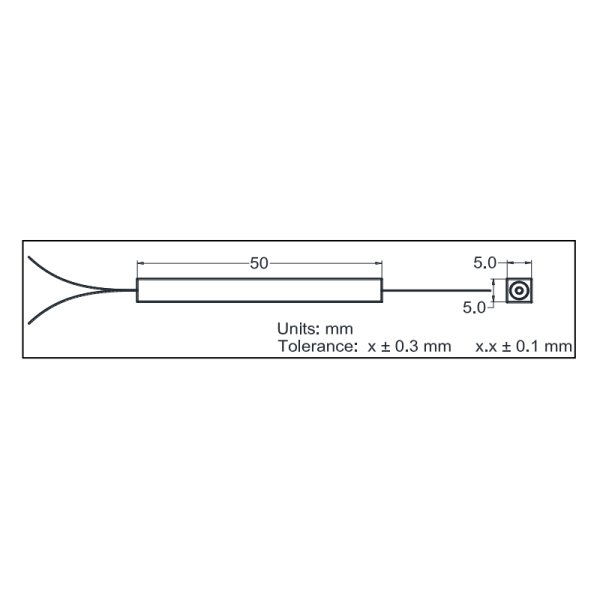 (1+1)×1多模900~1000nm泵浦&信號合束器