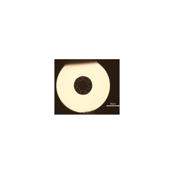 920nm單圈反諧振空芯光纖