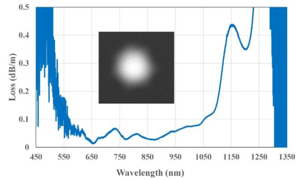 920nm單圈反諧振空芯光纖