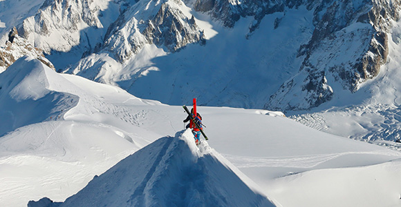 2025新澳门原料大全