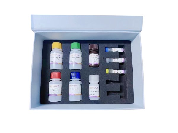 人凝血酶原片段F1+2(F1+2)酶联免疫吸附检测试剂盒