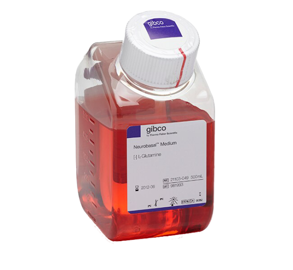 Neurobasal medium