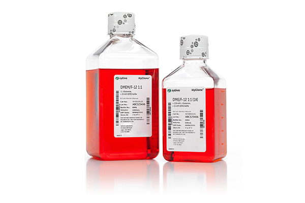 DMEM/F12(1:1)培养液