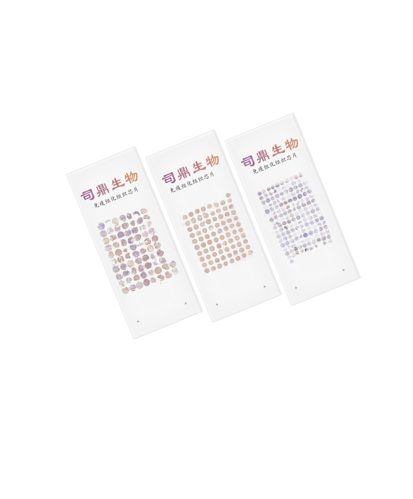 组织芯片简介