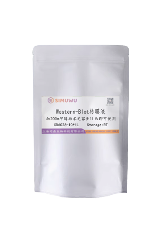 Western转膜液