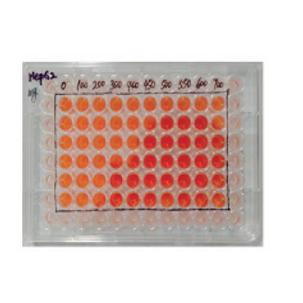 细胞增殖/毒性检测