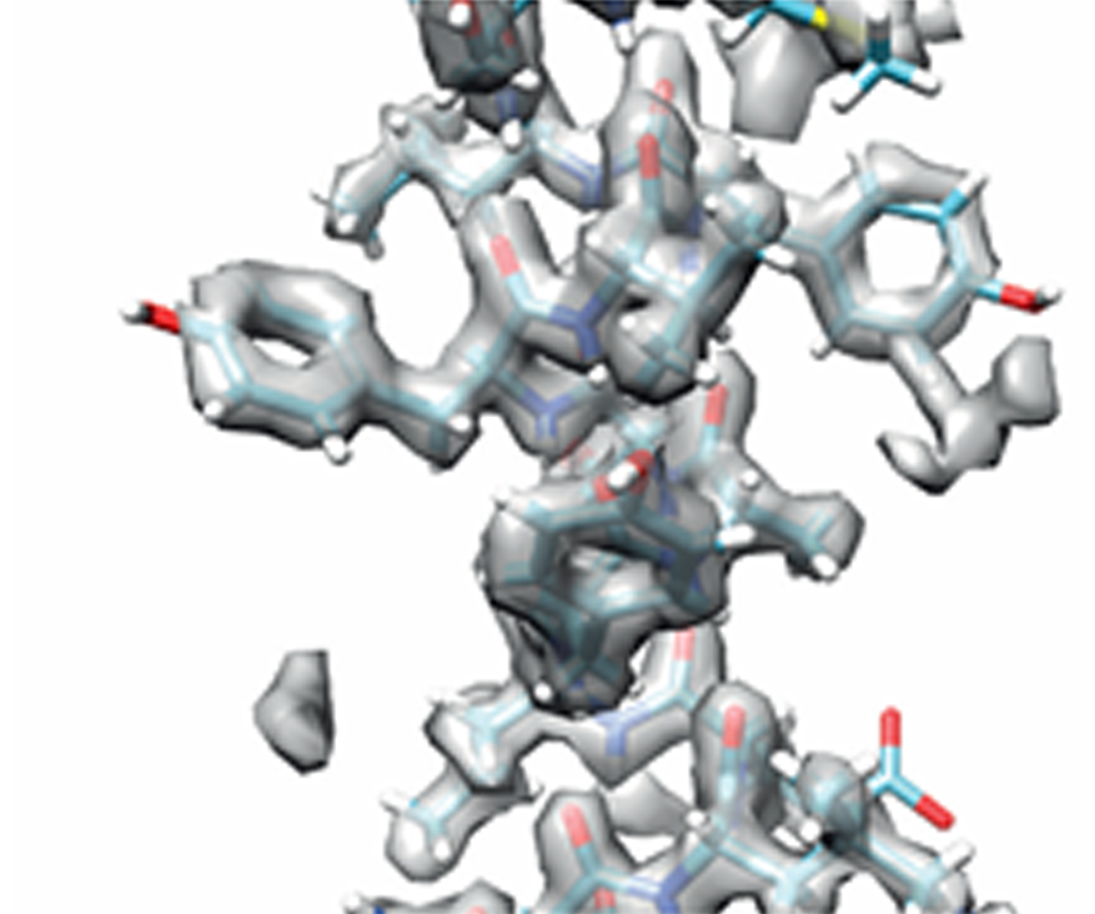冷冻透射电子显微镜技术