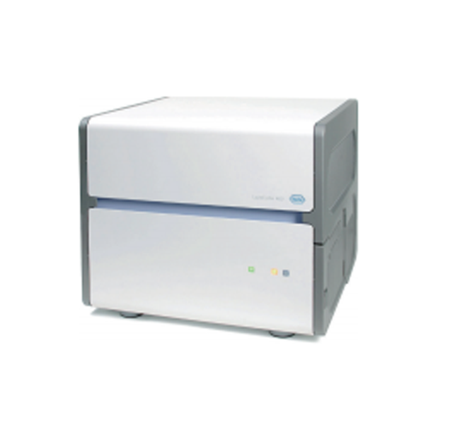 Real-time PCR实验服务