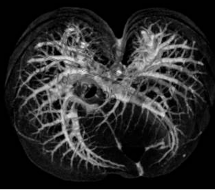 Micro-CT检测技术服务