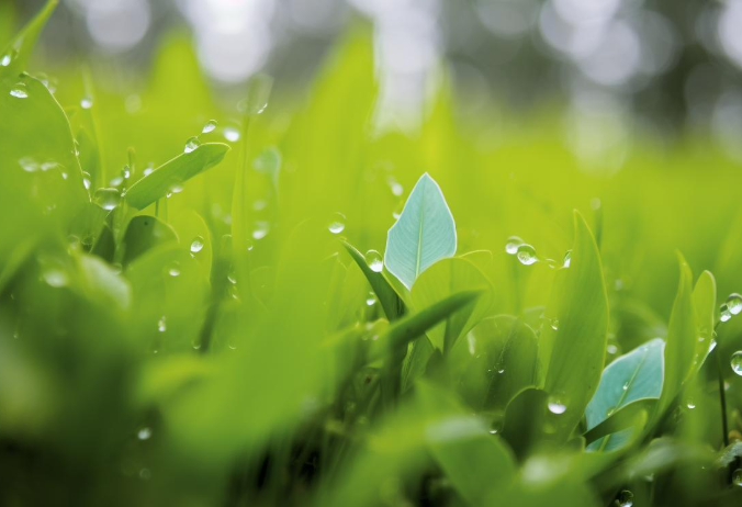 水溶性聚酯樹脂：綠色化學(xué)的璀璨新星