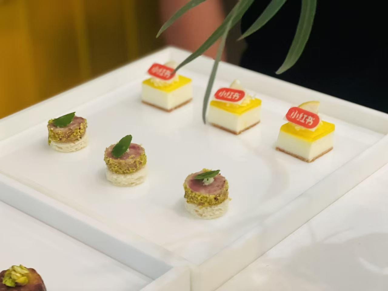 茶歇：輕松一刻，能量滿滿