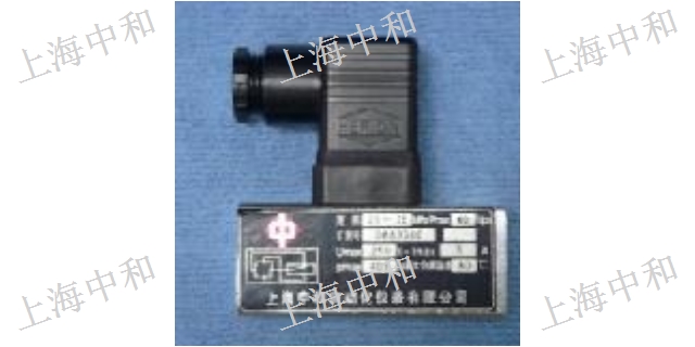 上海D502/7DS压力控制器法兰定制,压力控制器