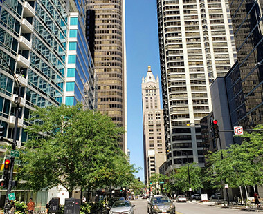 河南天倫集團(tuán)