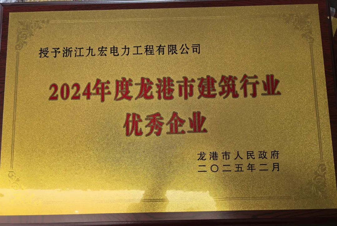 九宏荣获龙港市政府“2024年度建筑行业优秀企业”表彰