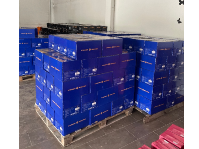 河北適合運動健身愛好者的龍元精釀啤酒多少錢 上海潤森盈玉科技供應