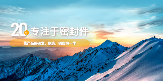 杭州水封密封圈定制 深圳杜克密封科技供應(yīng)