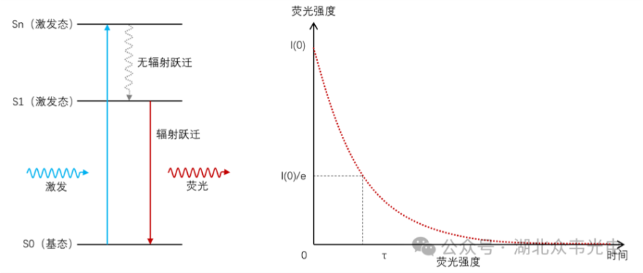自动化荧光寿命扫描成像系统费用