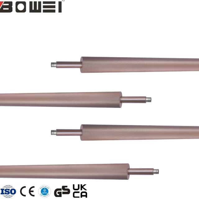 �ط���������