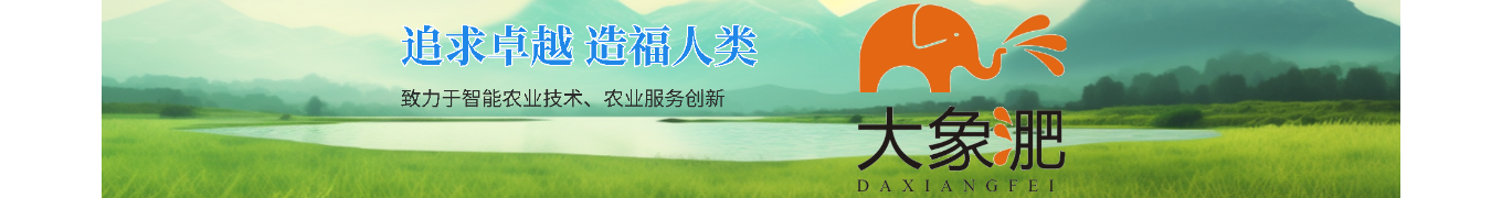 《大象肥業(yè)有限公司：為農(nóng)業(yè)發(fā)展注入綠色新動力》