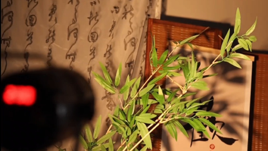 湖北直播相機(jī)調(diào)試直播設(shè)備租賃多少錢(qián),直播設(shè)備租賃
