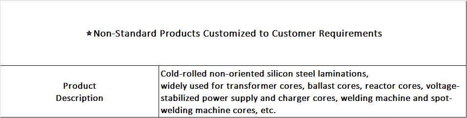 Non-Standard Silicon Steel Stamping 