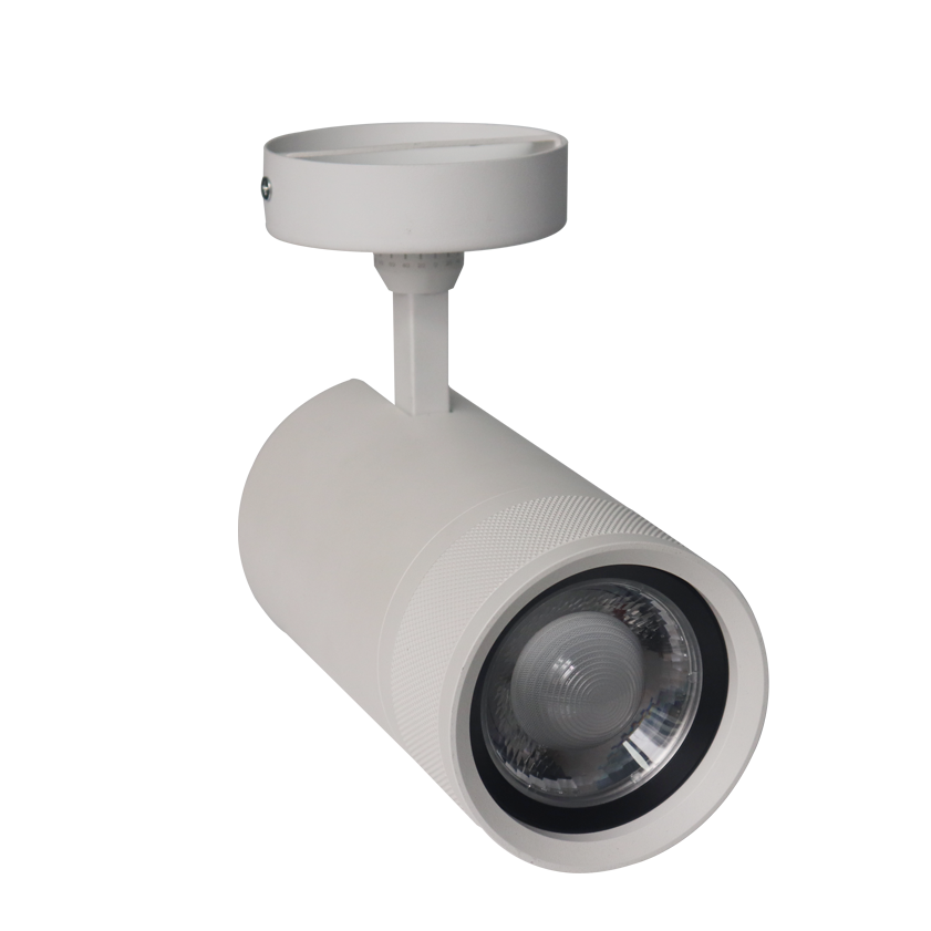 Ff80de878f4d20f986ff9deb88a72c03