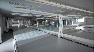 Curing line