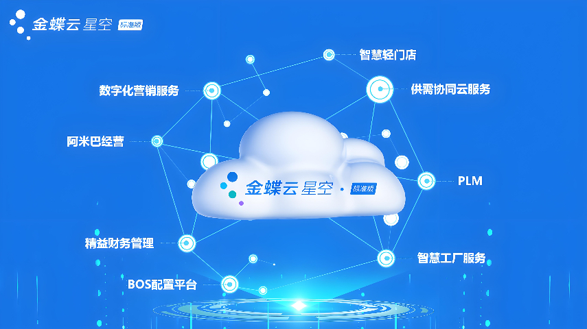 化工企業用什么管理軟件實現數字化轉型,管理軟件