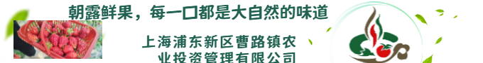 朝露鮮果