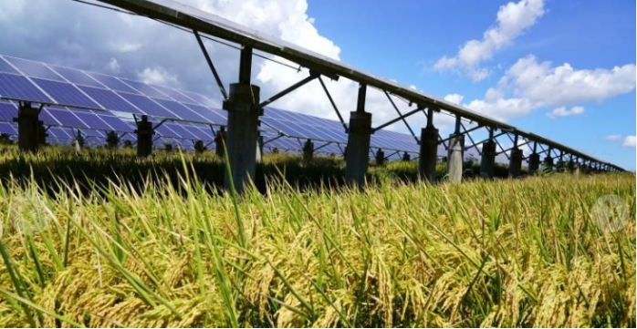 綠化光伏發(fā)電系統(tǒng)代理商 上海后羿新能源科技供應(yīng)