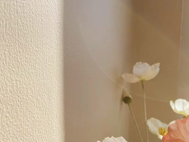 吉林国产植物涂料加盟