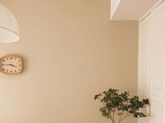 福建幼兒園植萃植物涂料與藝術(shù)漆對比 誠信服務(wù) 廣東恩菲納堡新材料供應(yīng);