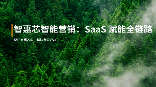 AI智能營銷方法 數(shù)字化工具 廈門智惠芯電子科技供應(yīng)