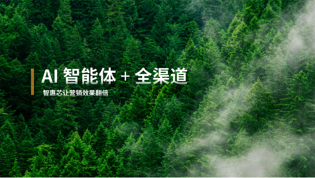 廈門B2C全渠道營銷服務(wù)