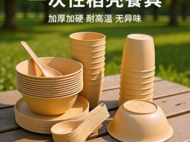 广西塑料稻壳餐具生产设备大概费用