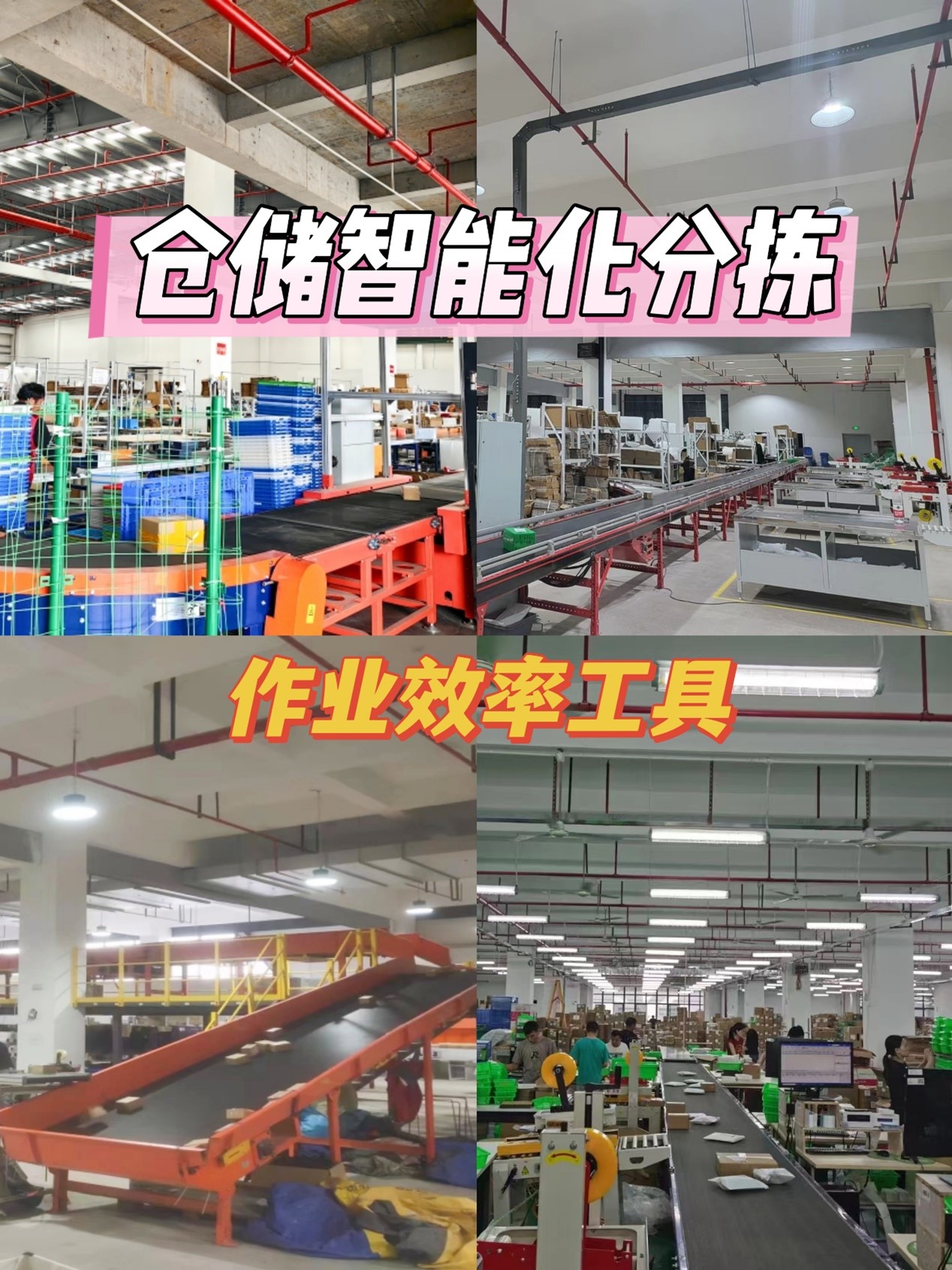 揭秘！倉庫自動化分揀系統得特點和優勢！