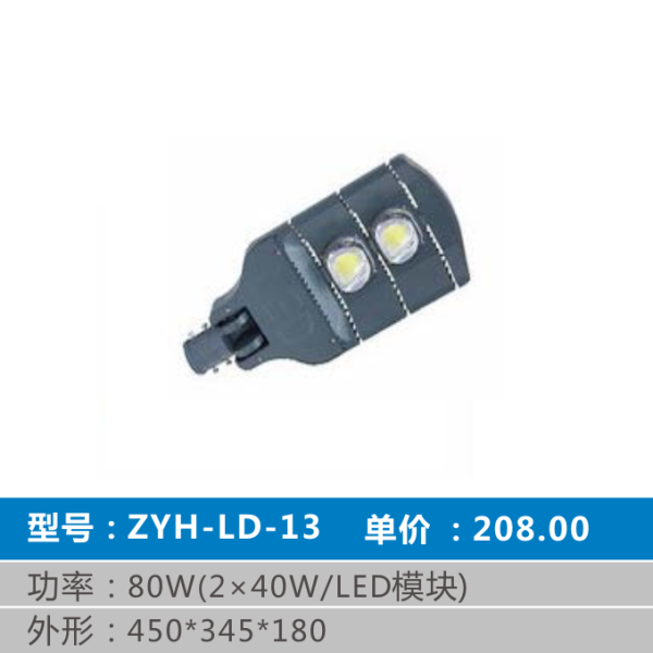 ZYH-LD-13