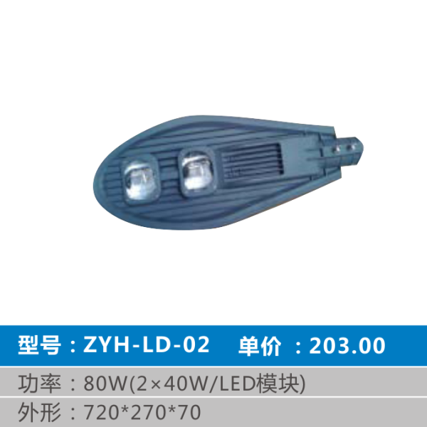 ZYH-LD-02