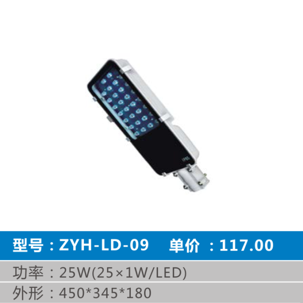 ZYH-LD-09