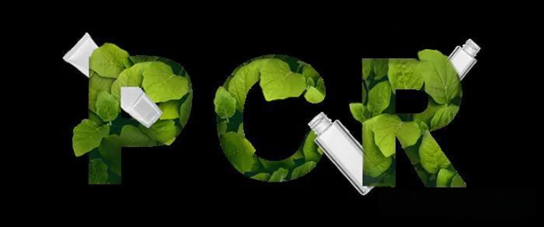信陽PCR認證指導(dǎo)與培訓(xùn) 深圳市凱冠企業(yè)管理咨詢供應(yīng)