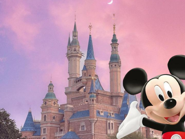 汕頭DISNEY（ILS）迪士尼驗(yàn)廠基本原則,DISNEY（ILS）迪士尼驗(yàn)廠