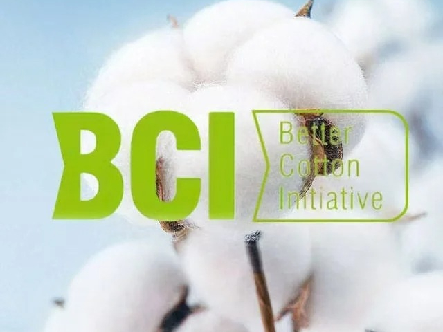印尼BCI認證資料準備指南,BCI認證